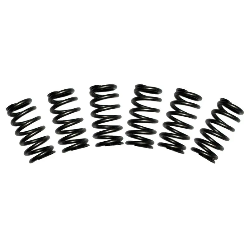 5.9L Cummins Valve Spring Kit 60Lbs Dodge 1988-1998 12-Valve Set Of 6 Bd Diesel 1