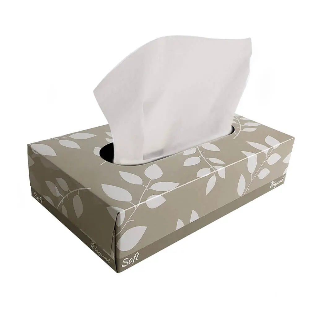 Cascades 2-Ply Deluxe Facial Tissue (100-Sheet) 1