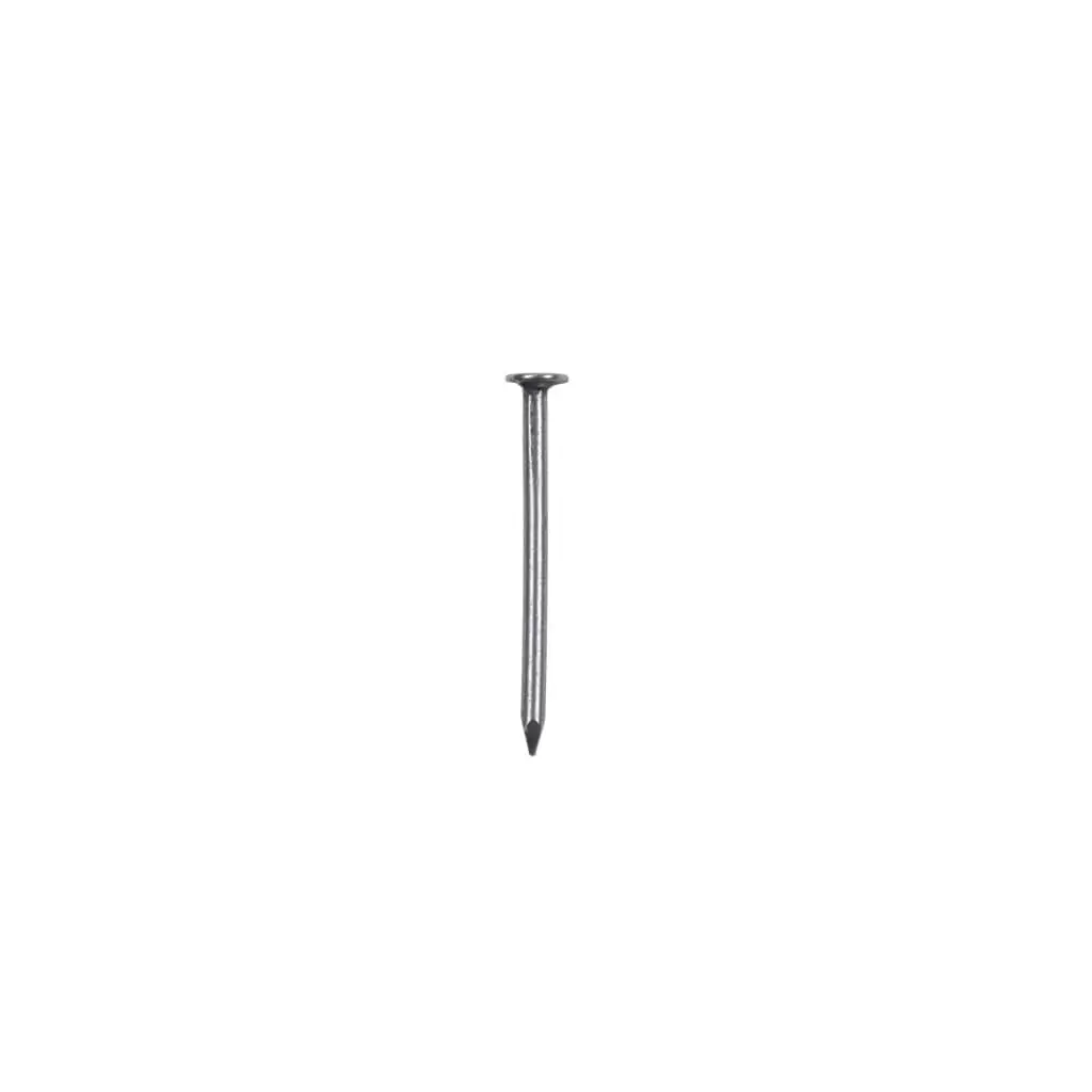 Duradrive 2 In. Common Nails 50Lbs 1