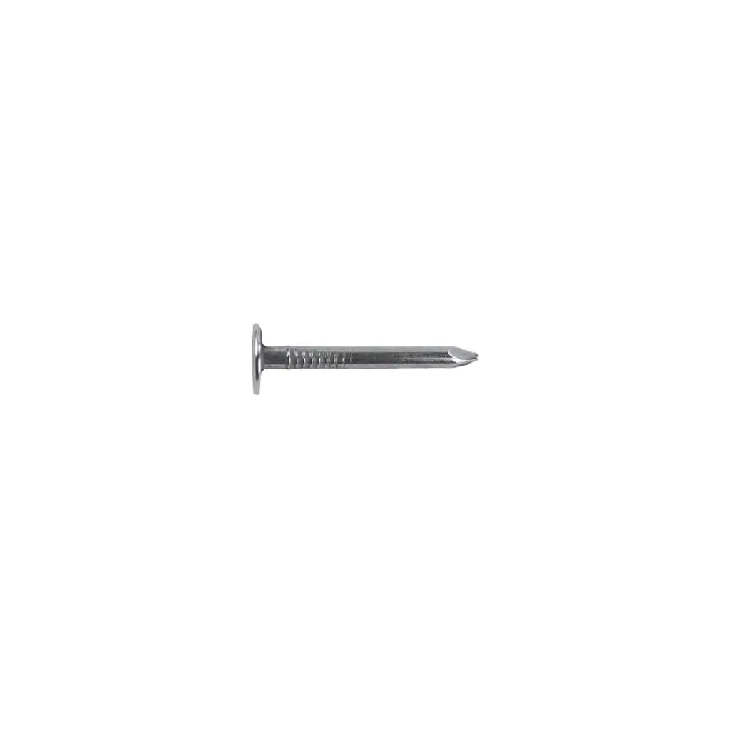 Duradrive 2 In Steel Electro-Galvanized Roofing Nails - 50 Lb/Box 1