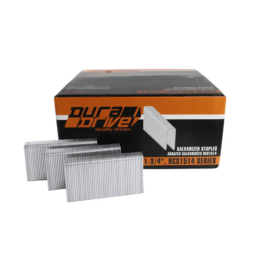 Duradrive 1-3/4 In. X 1/2 In. Crown Bcs1500 Series Galvanzied Steel Coated Staples (5,000-Pack) 1