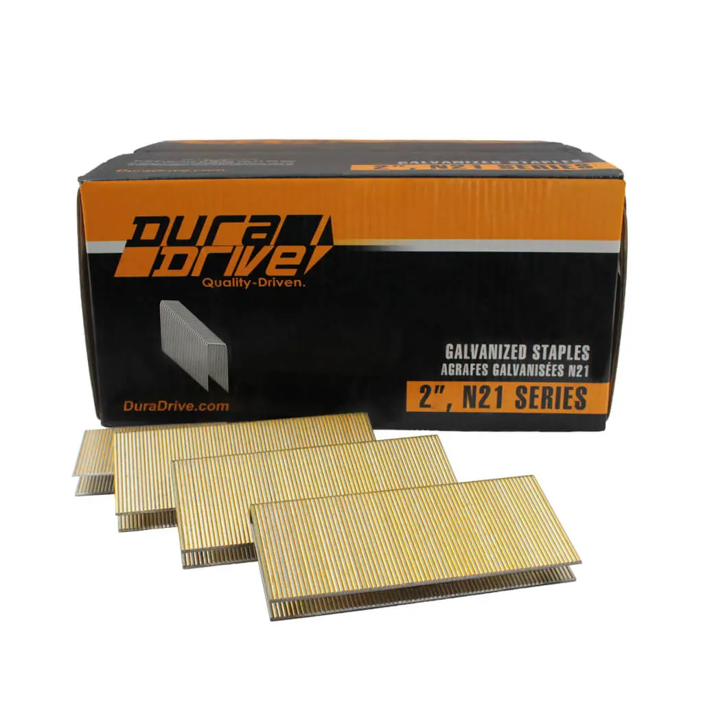 Duradrive 2 In. X 7/16 In. Crown N21 Series Yellow Varnish Galvanized Staples (10,000-Pack) 1