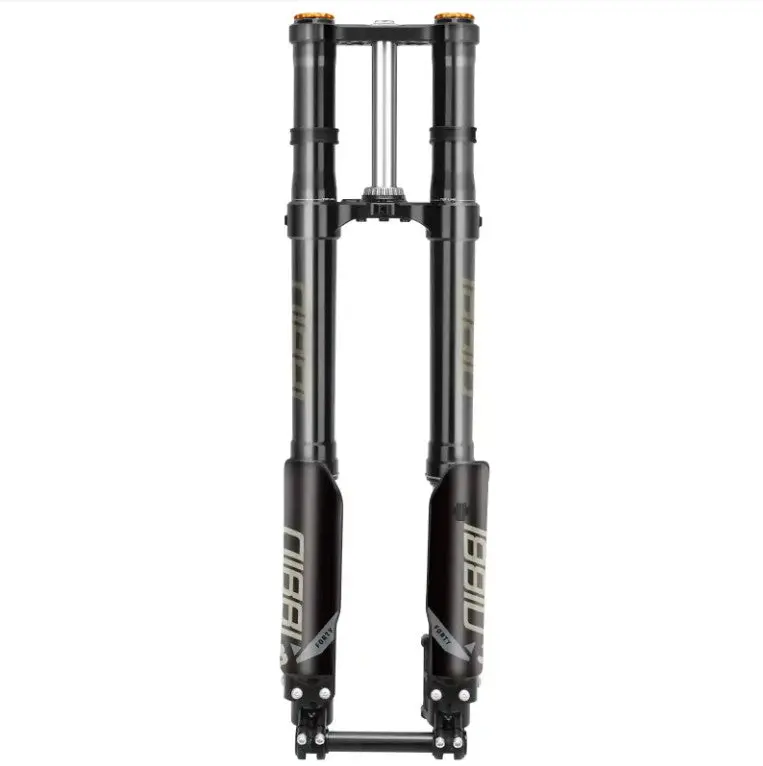 38Mm Dual Spring Fork 1