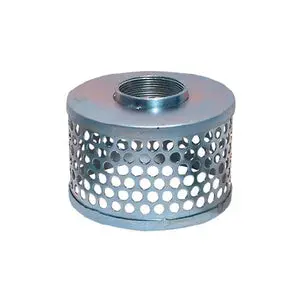 2 In. Fip Round Hole Strainer 1