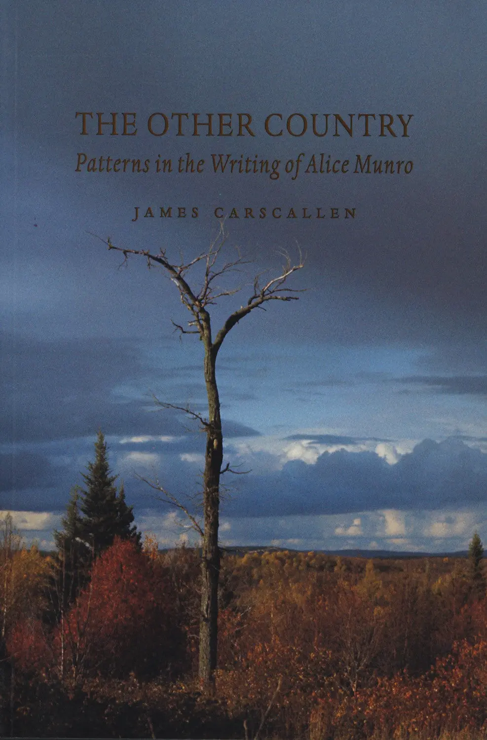 The Other Country: Patterns In The Writing Of Alice Munro 1