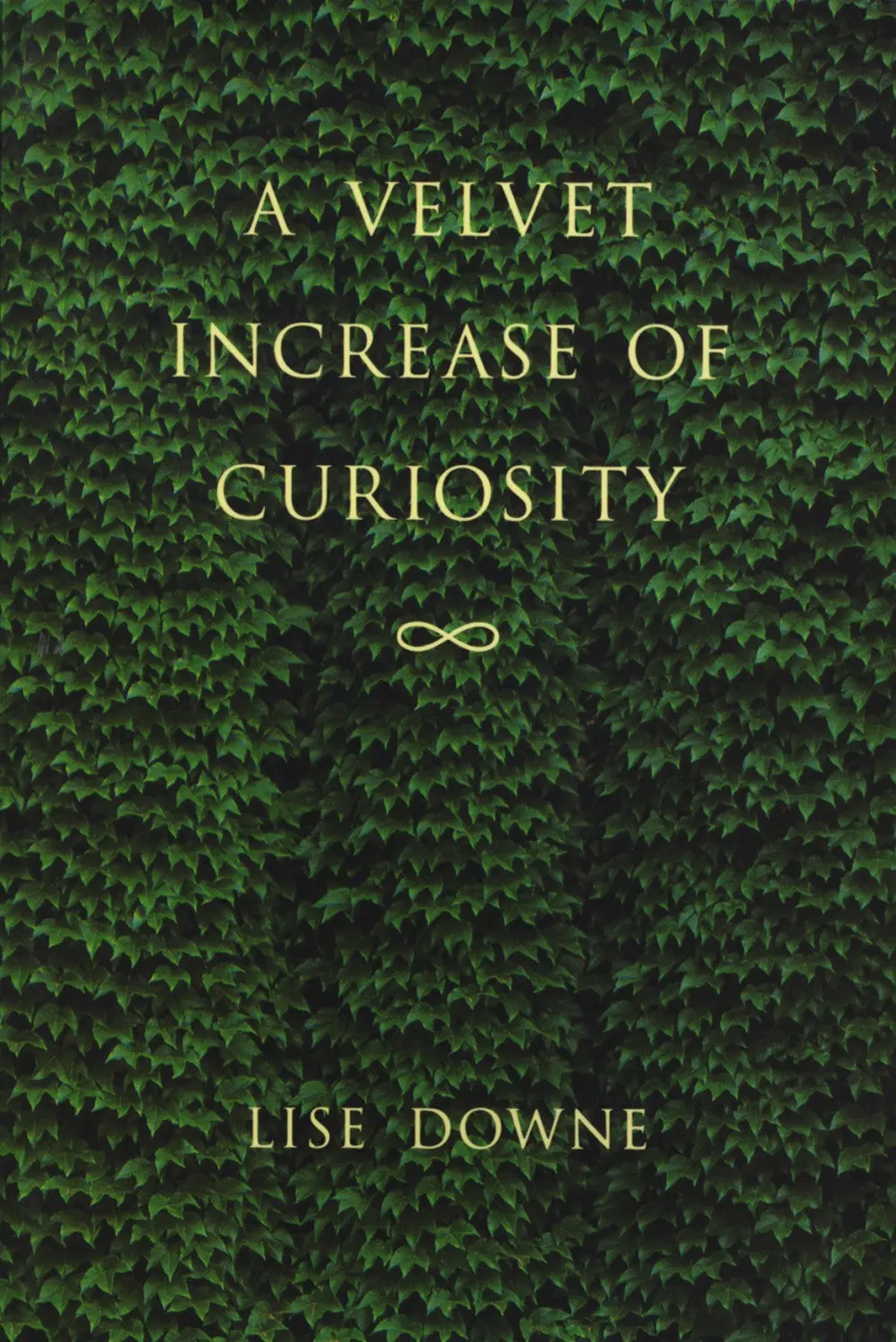 A Velvet Increase Of Curiosity 1