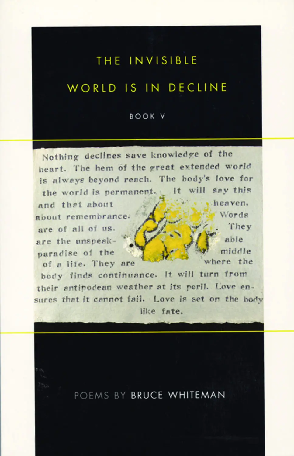 The Invisible World Is In Decline 1