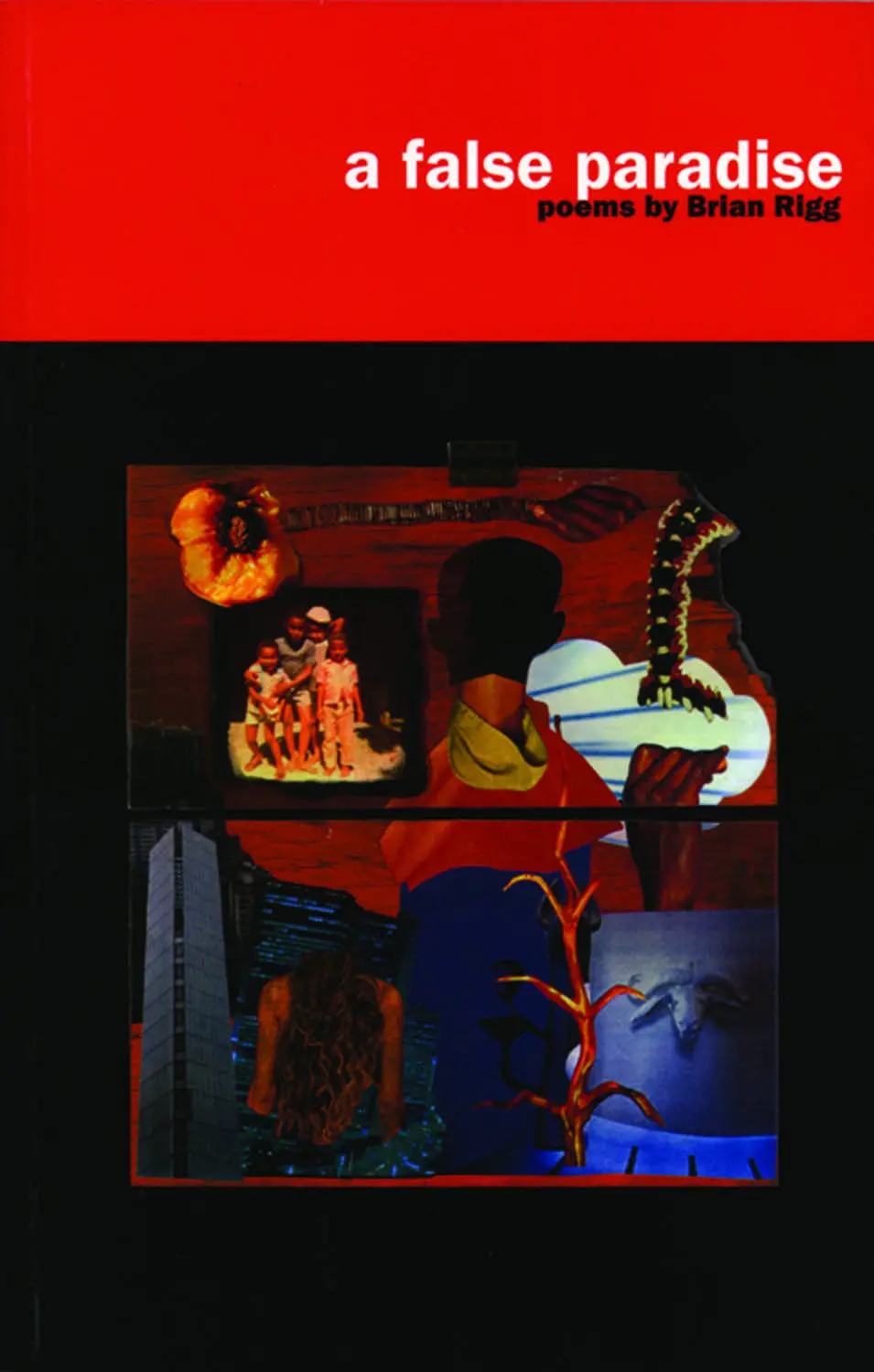 A False Paradise 1