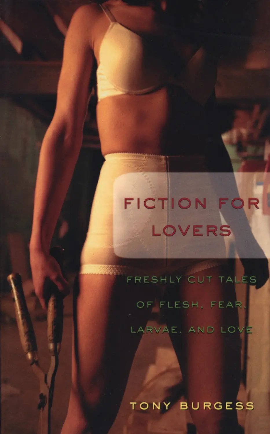 Fiction For Lovers: A Small Bouquet Of Flesh, Fear, Larvae, And Love 1