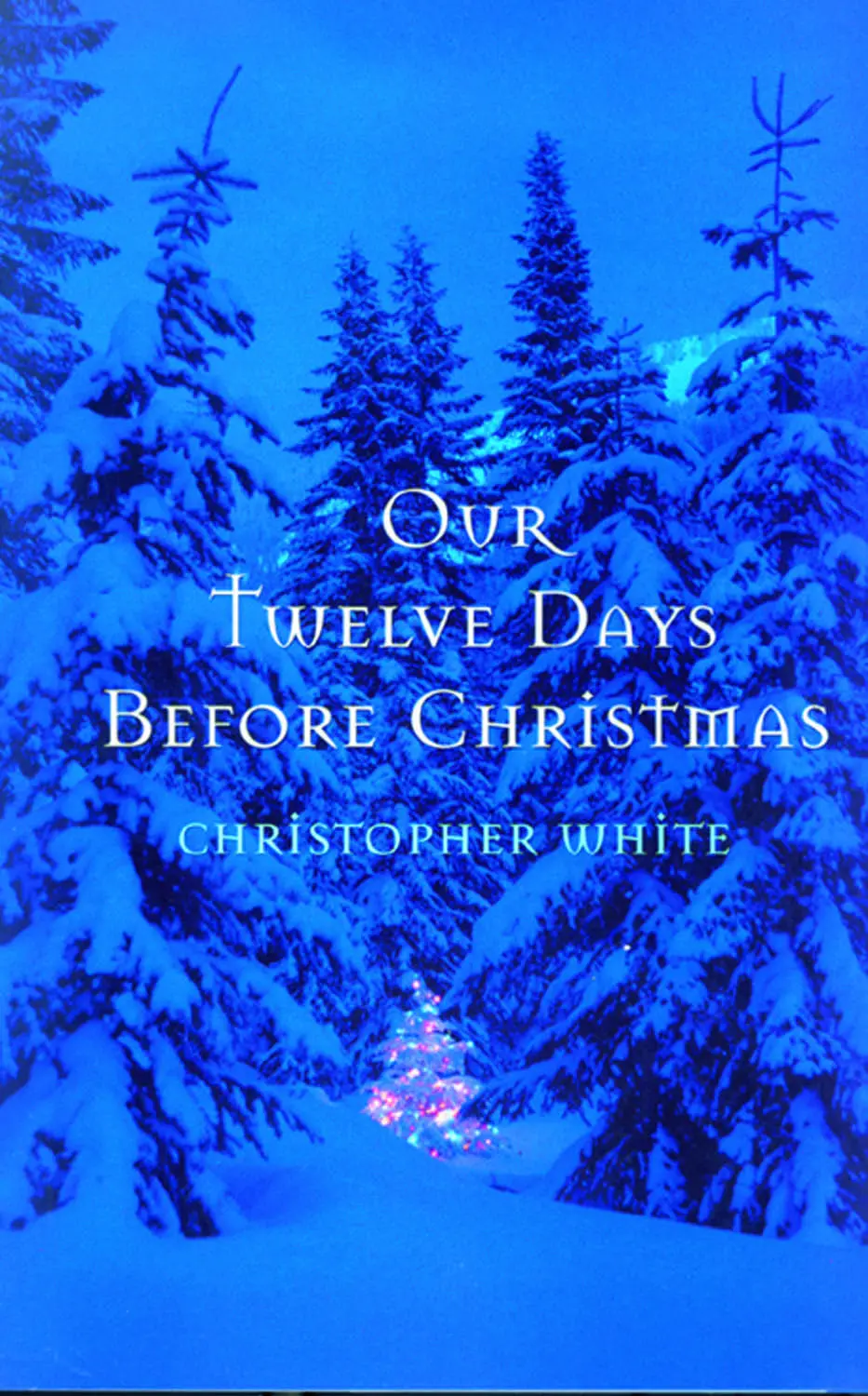 Our Twelve Days Before Christmas 1