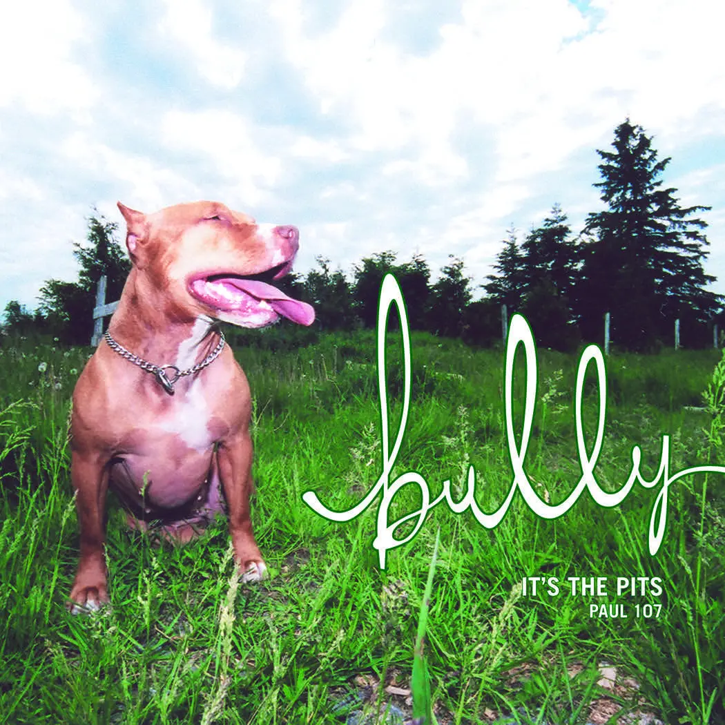 Bully: It's The Pits 1