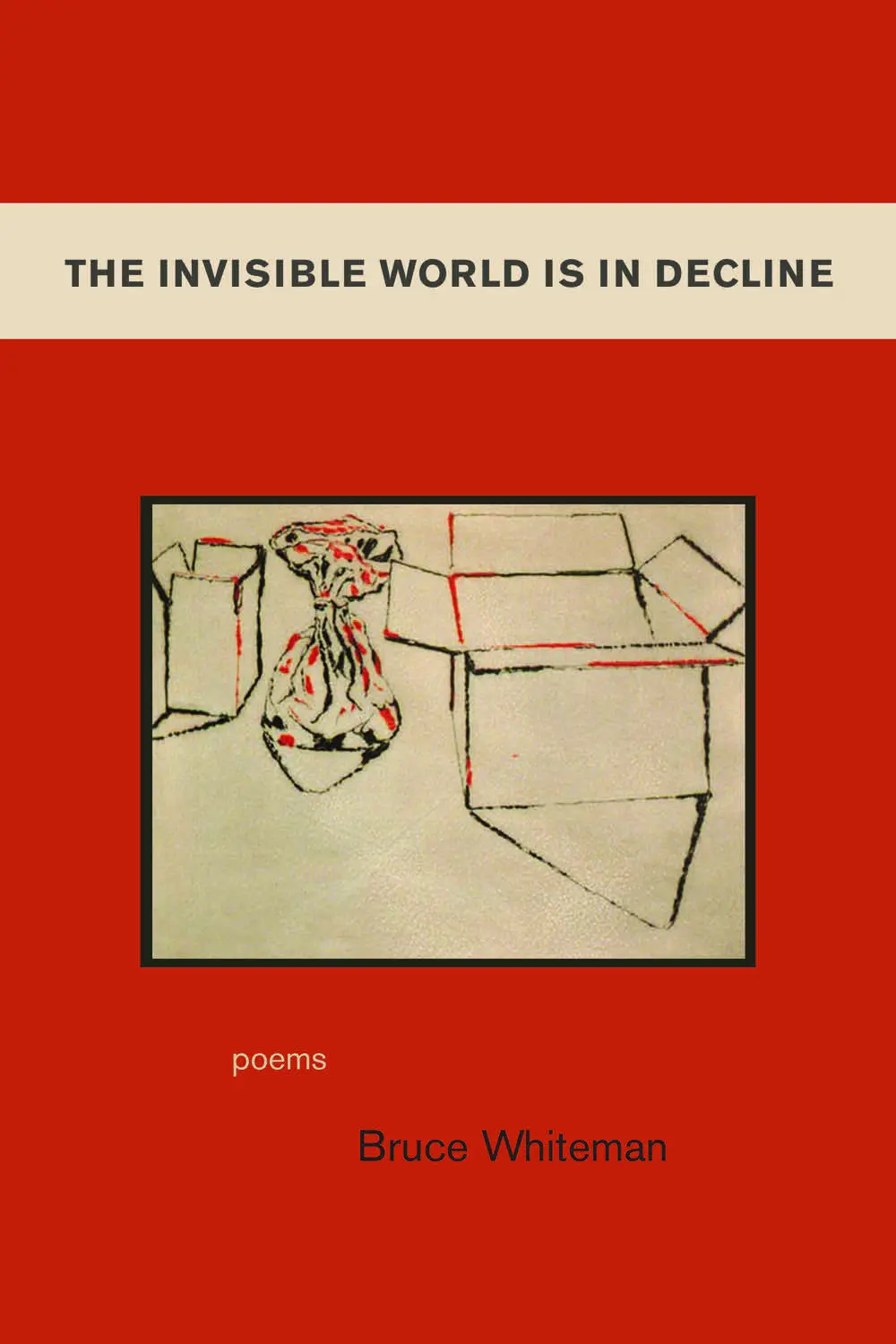 The Invisible World Is In Decline 1