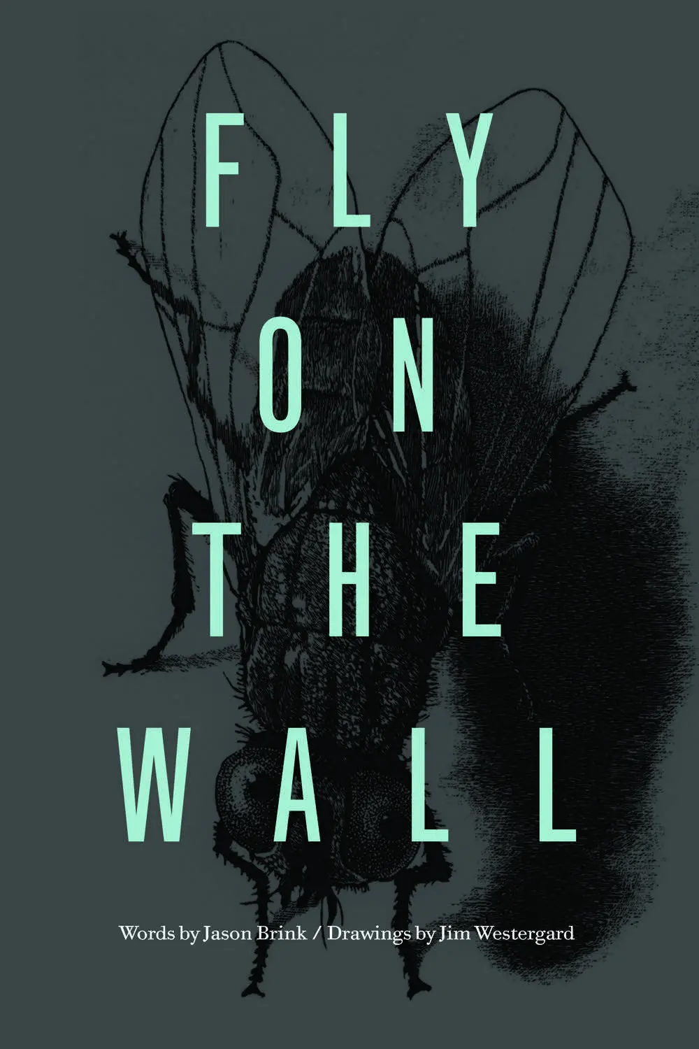 Fly On The Wall 1