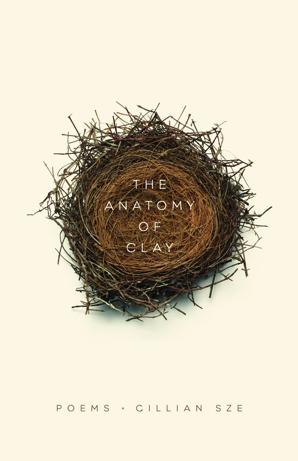 The Anatomy Of Clay 1