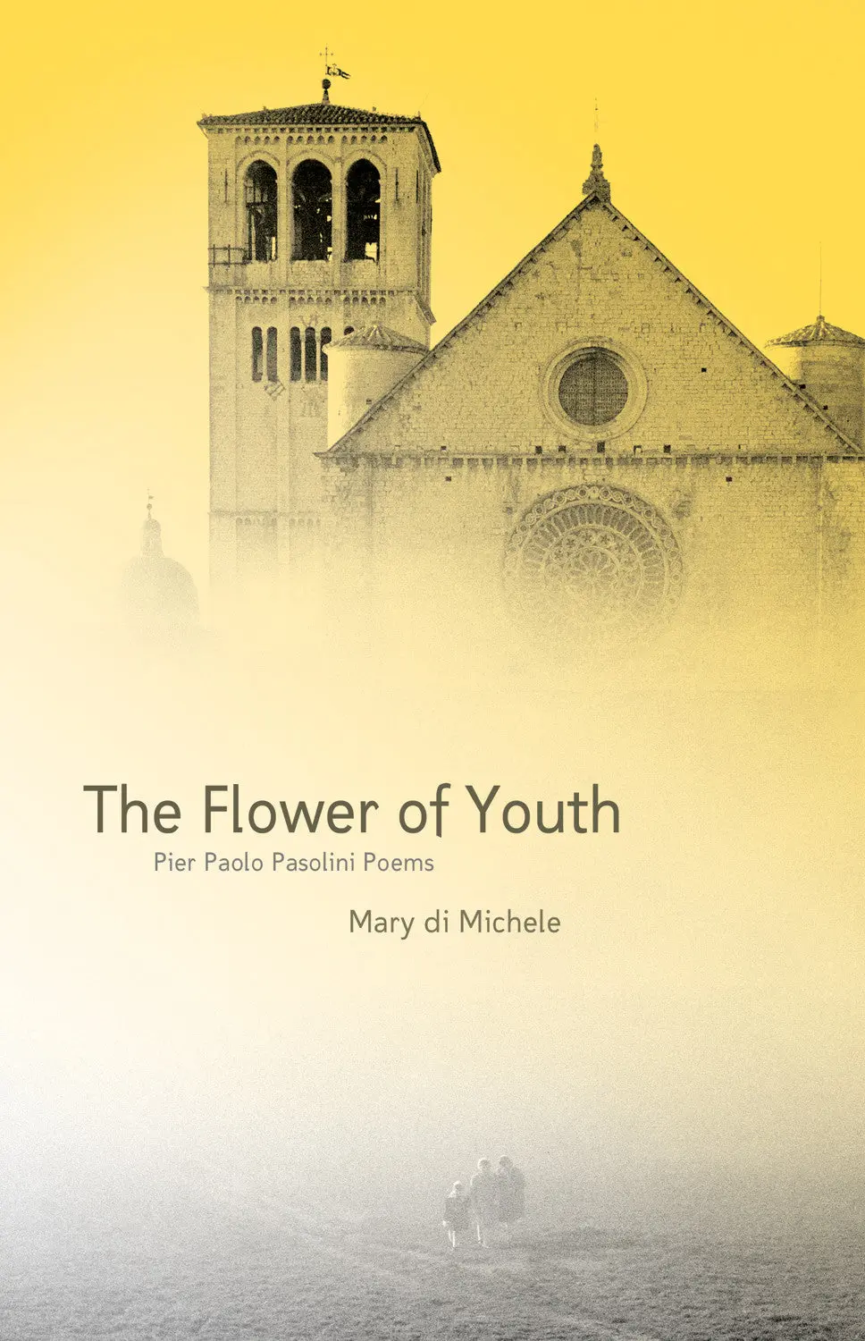 The Flower Of Youth: The Pier Paolo Pasolini Poems 1