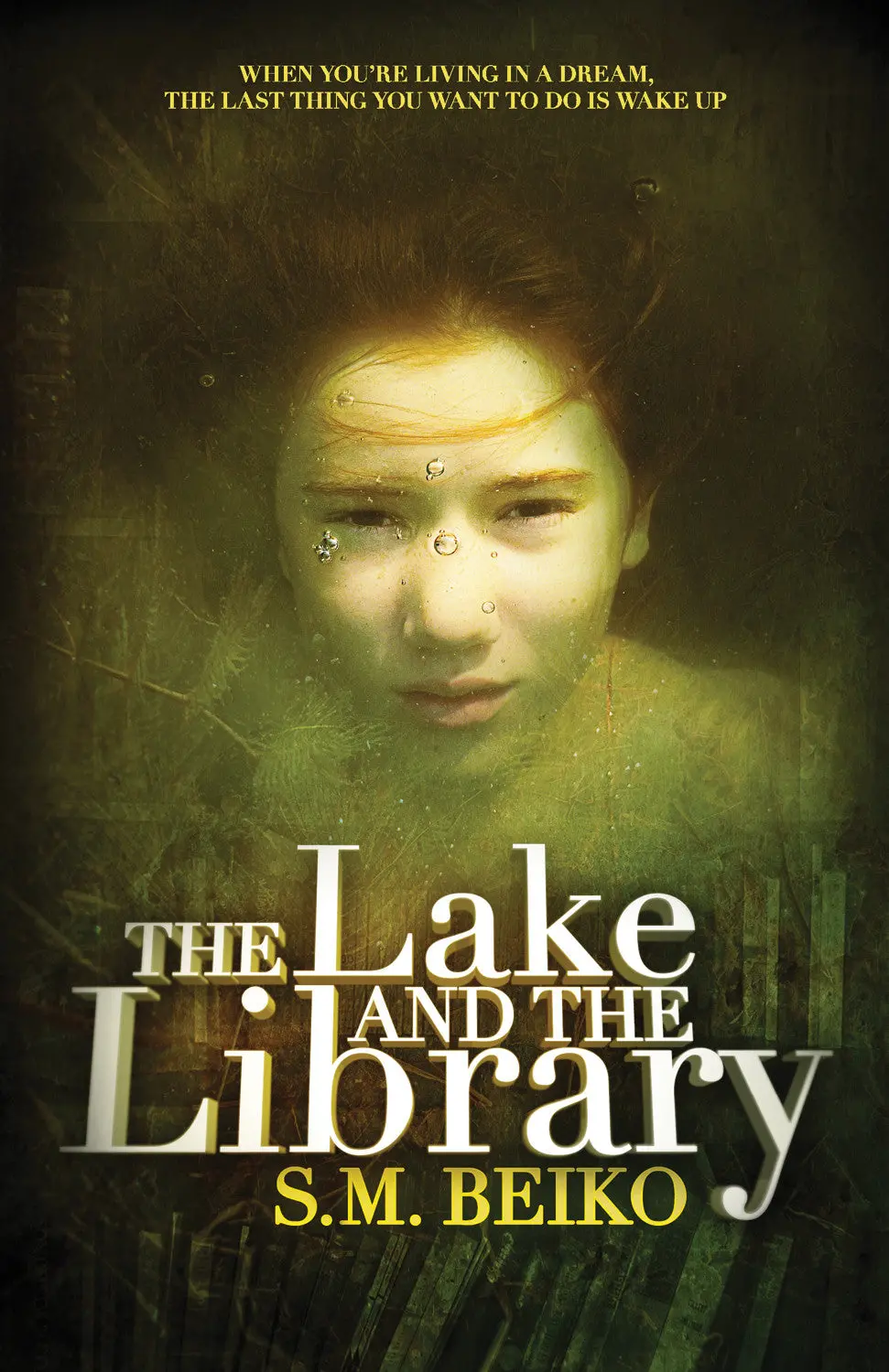 The Lake And The Library 1