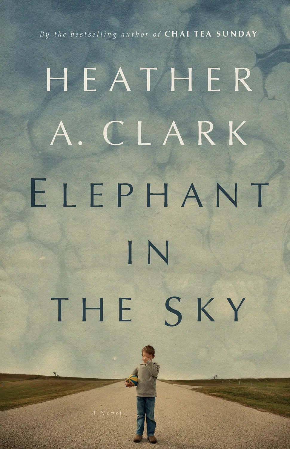 Elephant In The Sky: A Novel 1