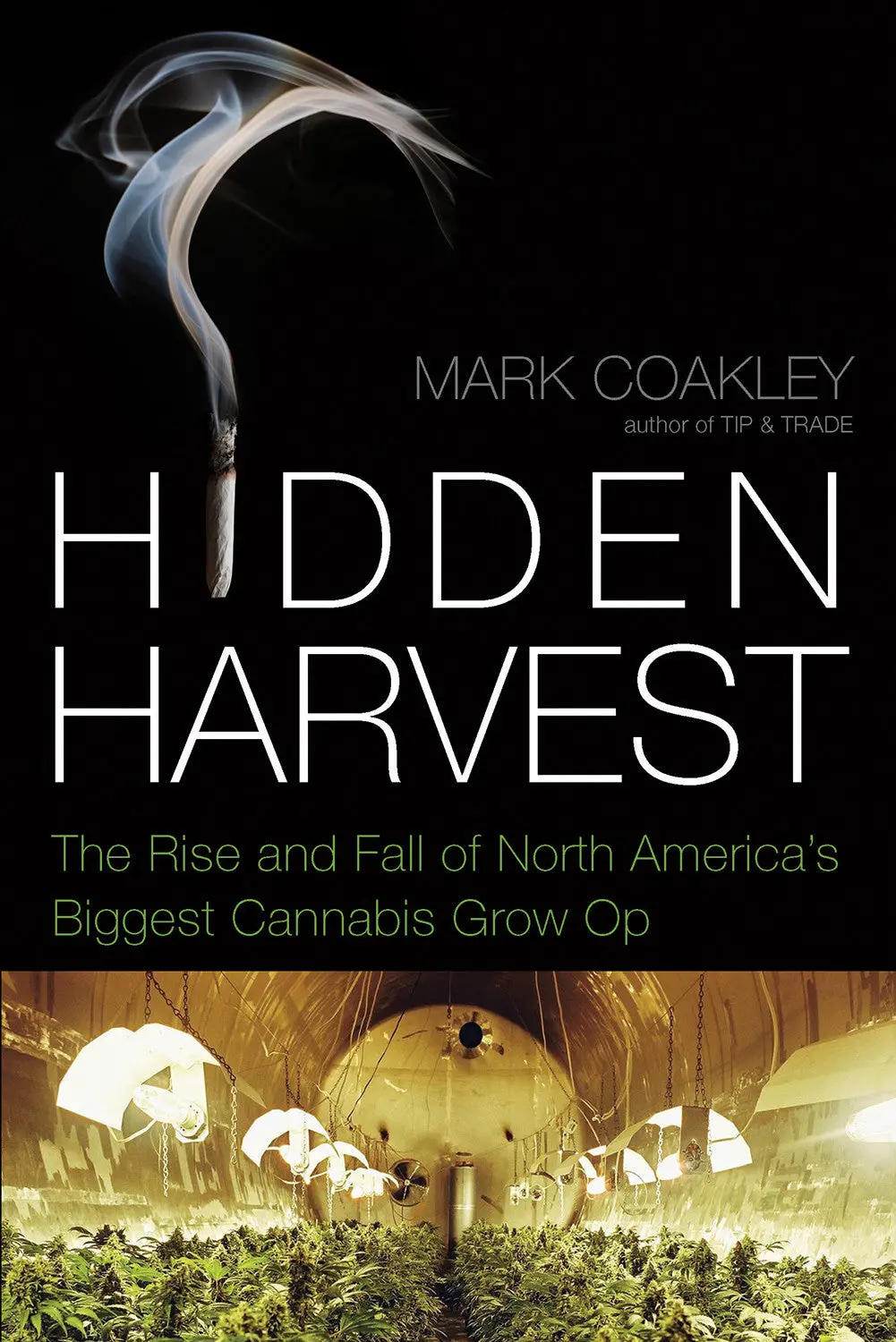 Hidden Harvest: The Rise And Fall Of North America’S Biggest Cannabis Grow Op 1