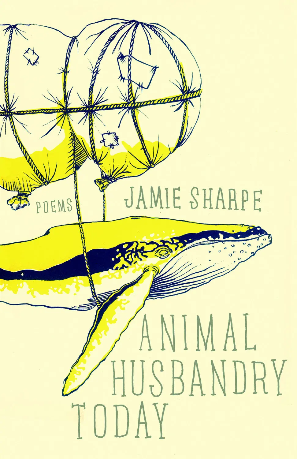 Animal Husbandry Today 1