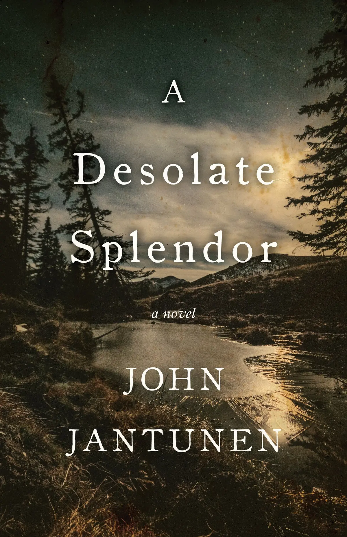 A Desolate Splendor: A Novel 1