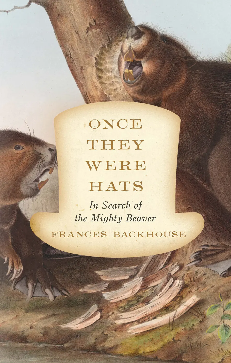 Once They Were Hats: In Search Of The Mighty Beaver 1