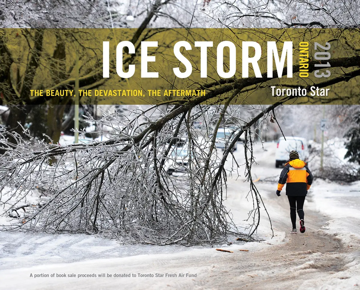 Ice Storm, Ontario 2013: The Beauty, The Devastation, The Aftermath 1