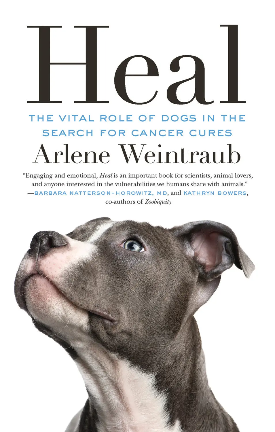 Heal: The Vital Role Of Dogs In The Search For Cancer Cures 1