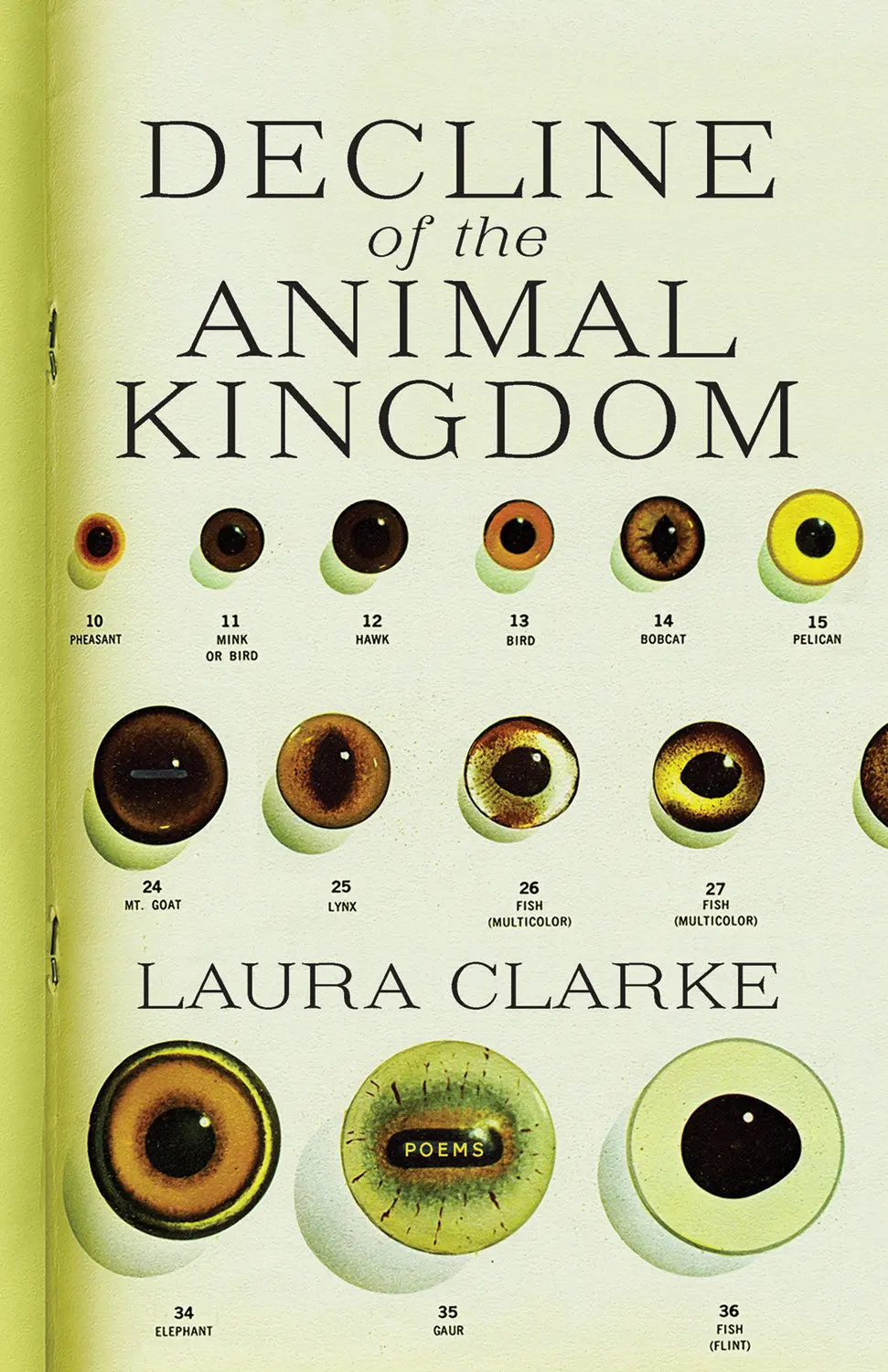 Decline Of The Animal Kingdom 1