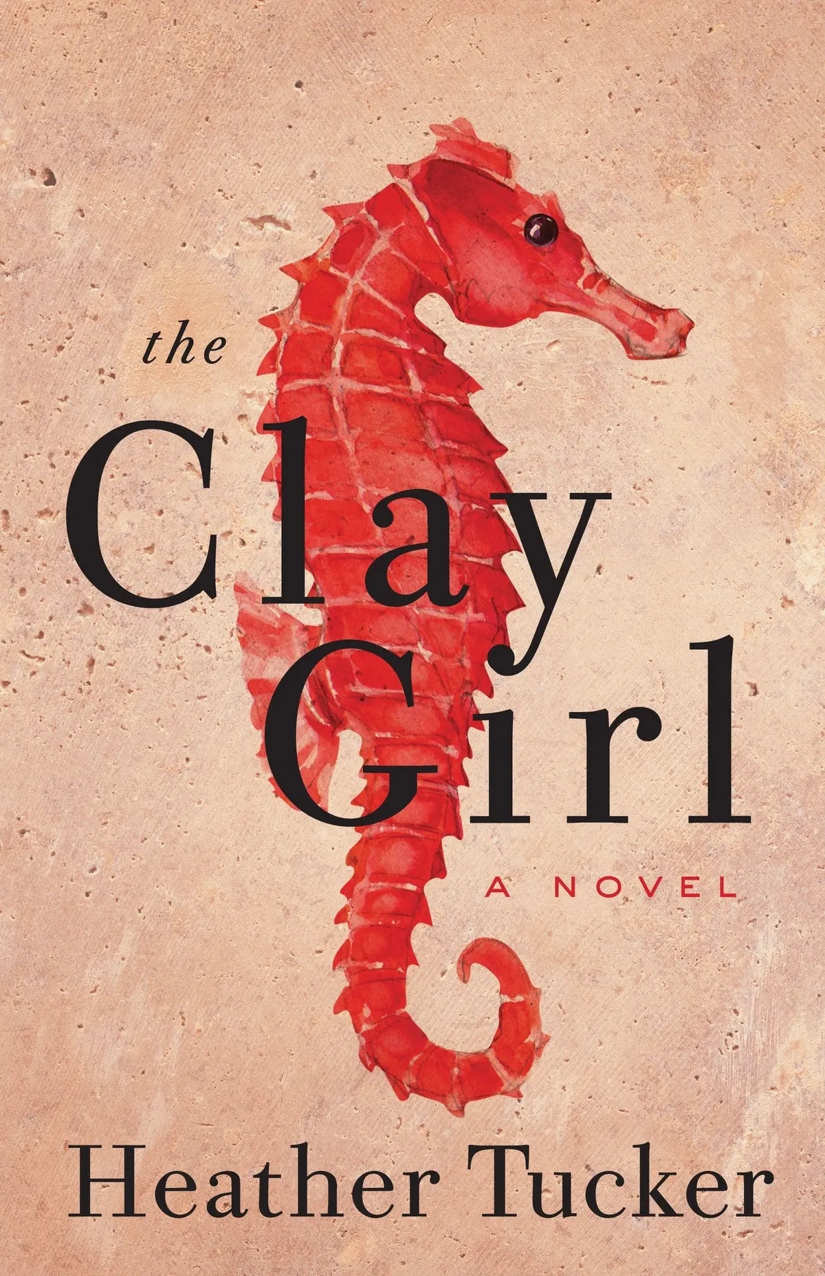 The Clay Girl: A Novel 1