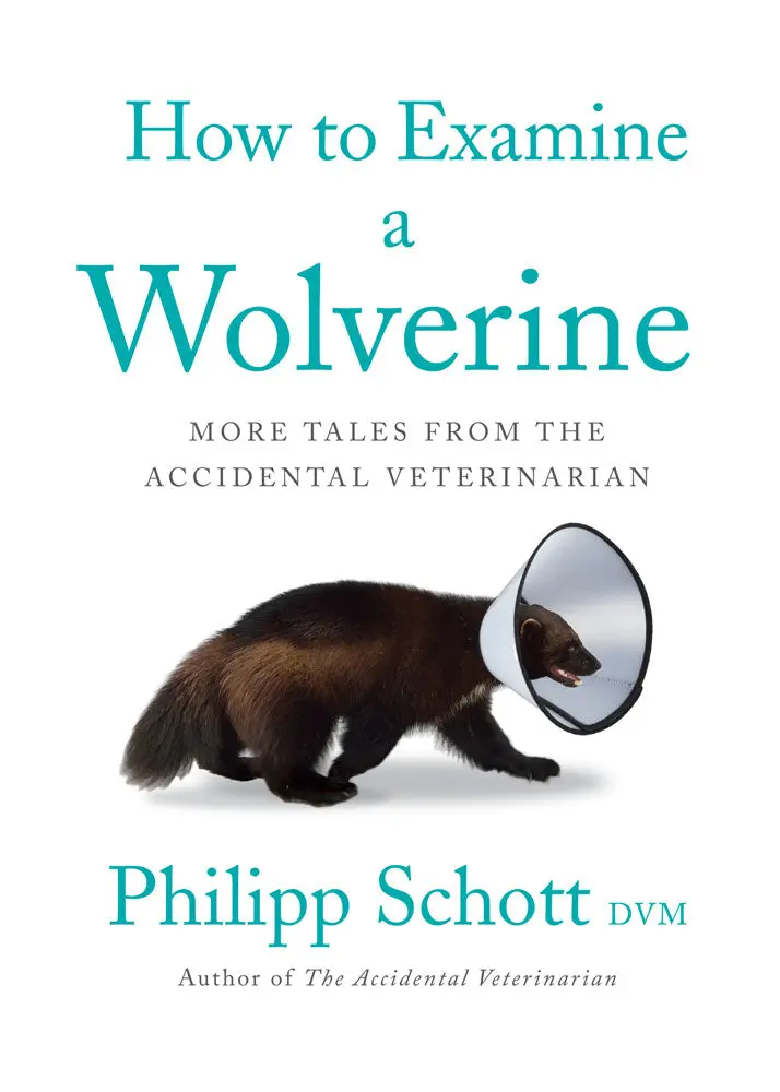 How To Examine A Wolverine: More Tales From The Accidental Veterinarian 1