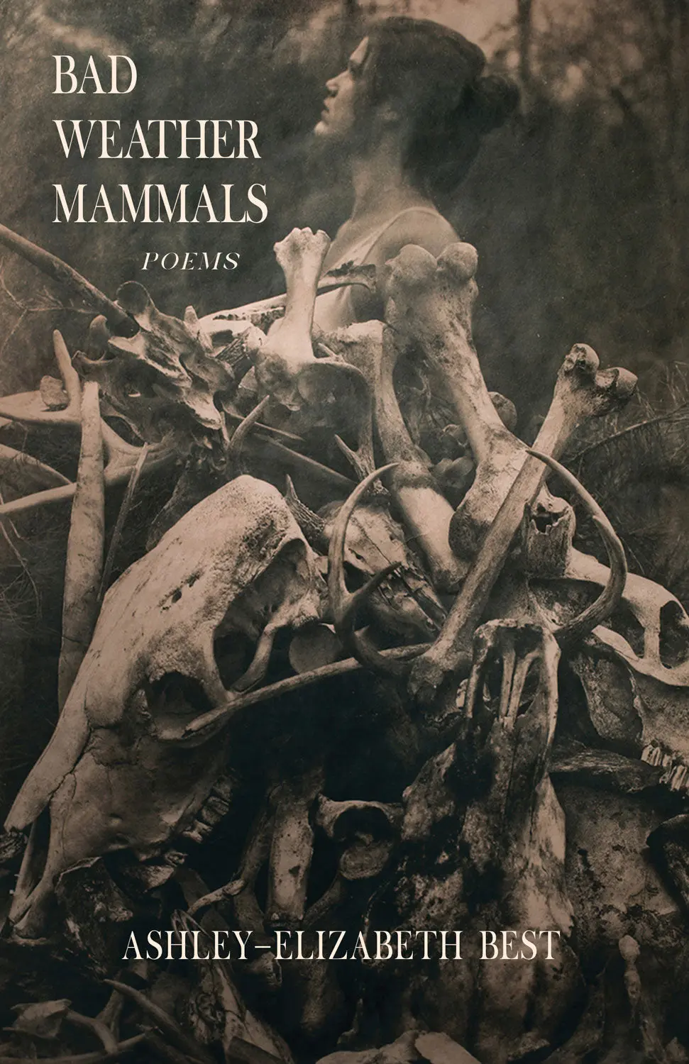 Bad Weather Mammals: Poems 1