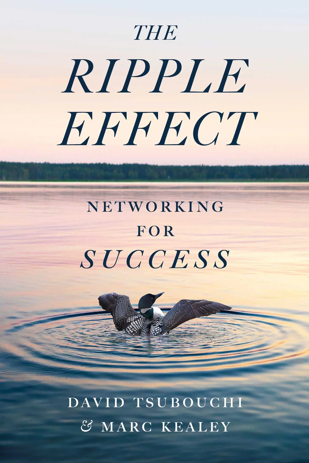 The Ripple Effect: Networking For Success 1