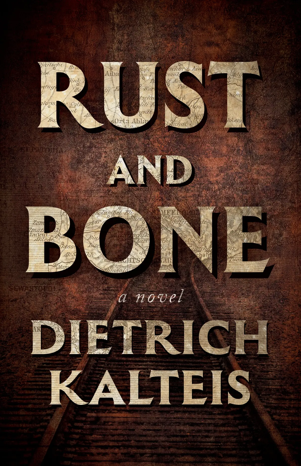 Rust And Bone: A Novel 1