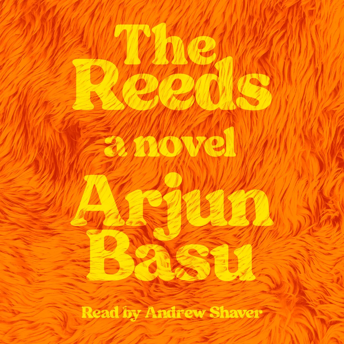 The Reeds – Literary Fiction Novel - Image 2