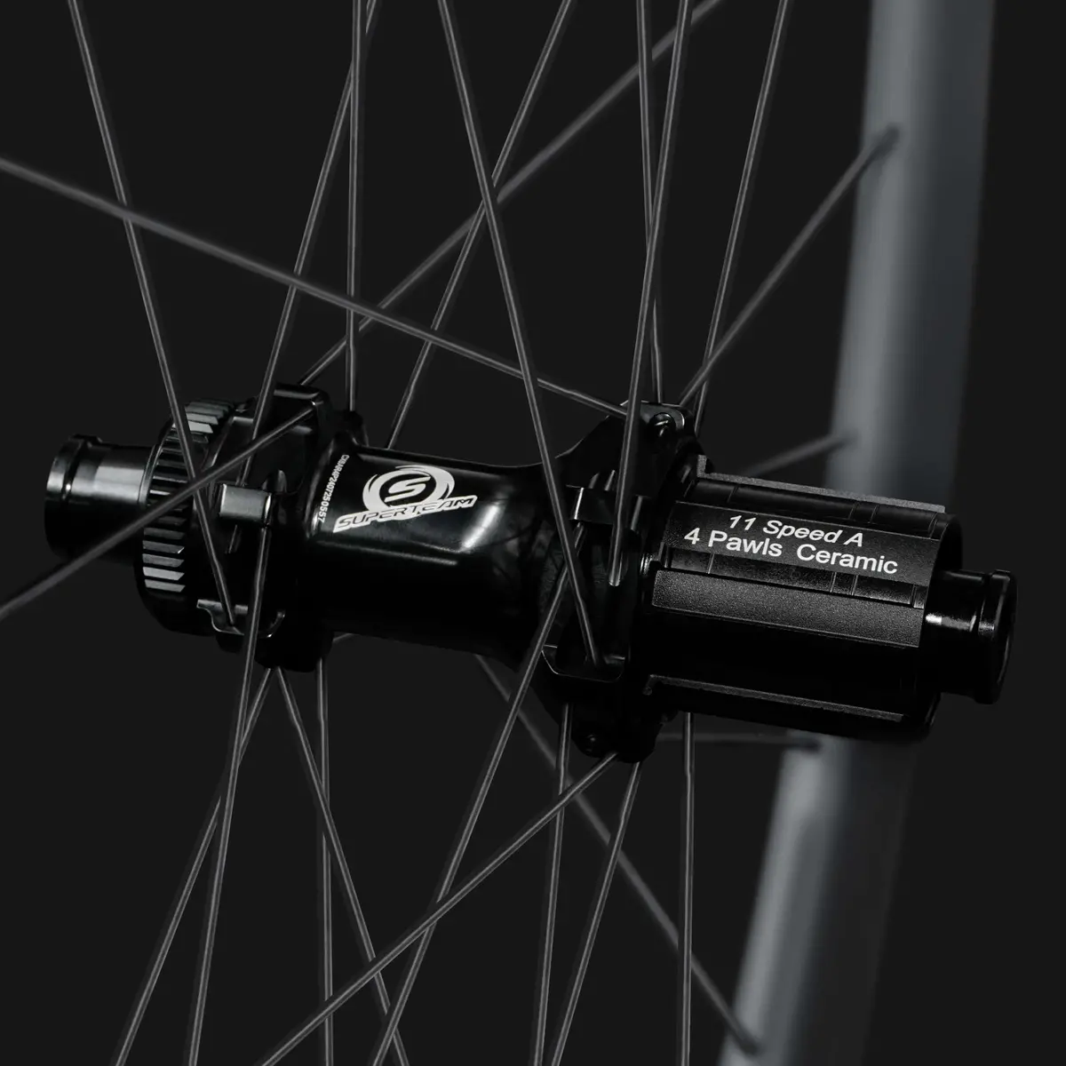 Classic Pro D28-60 Disc Brake Black Decals Pillar Wing21 Spokes 5