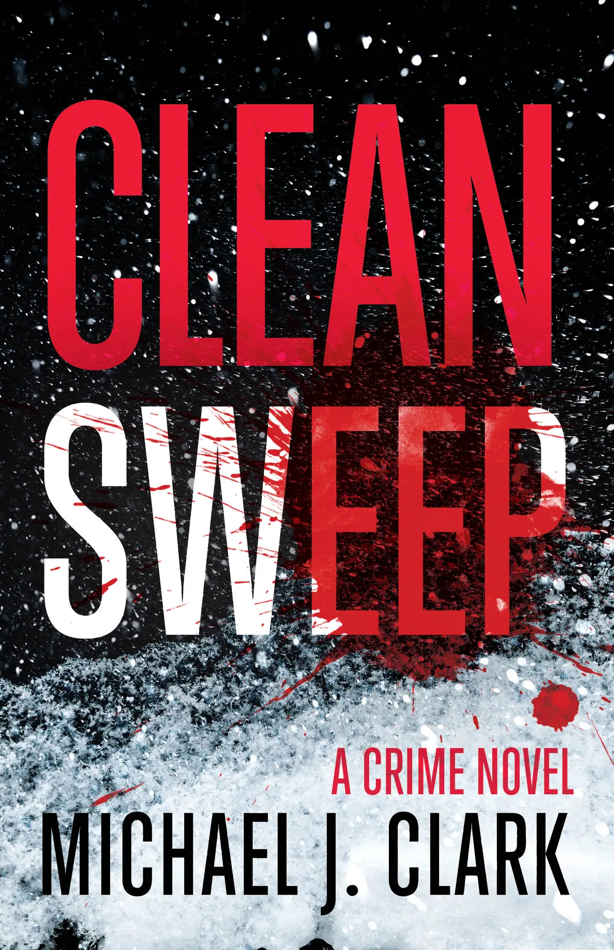 Clean Sweep: A Crime Novel 1