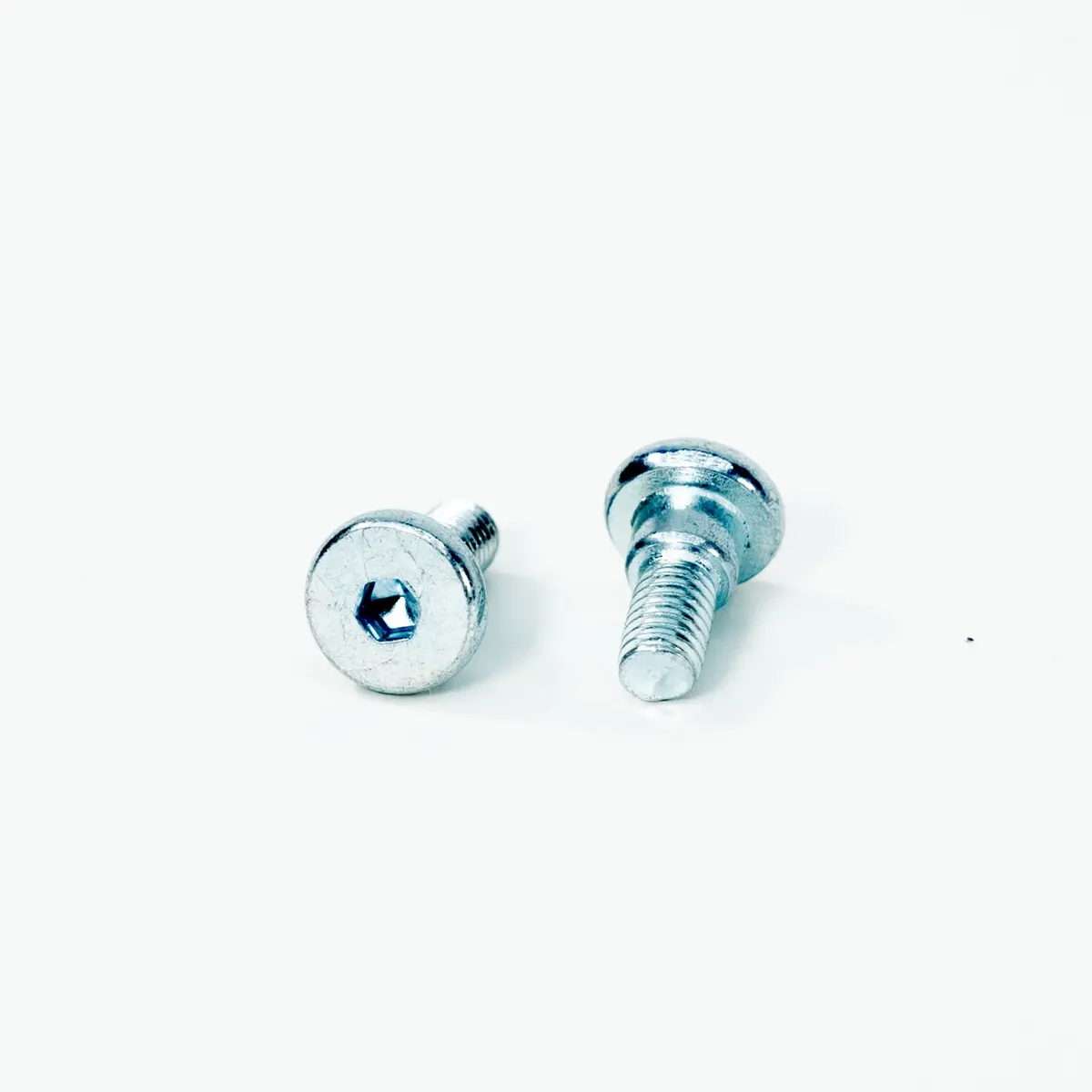 E Ride Pro - Oem Battery Cover Bolts 1