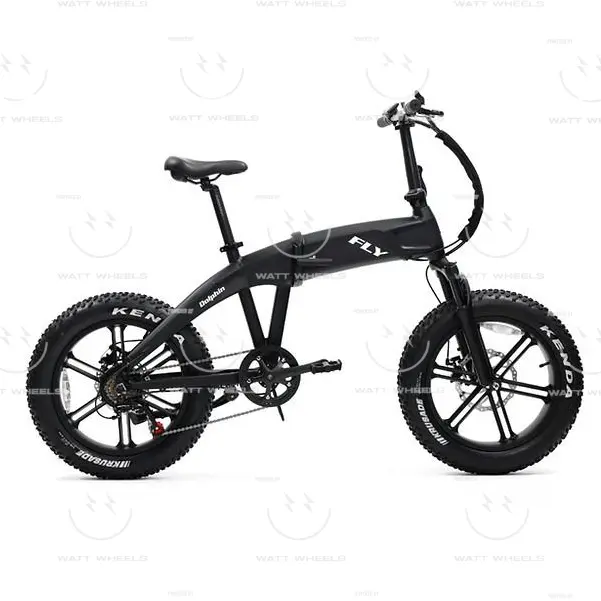 Dolphin 750W Electric Bike 1