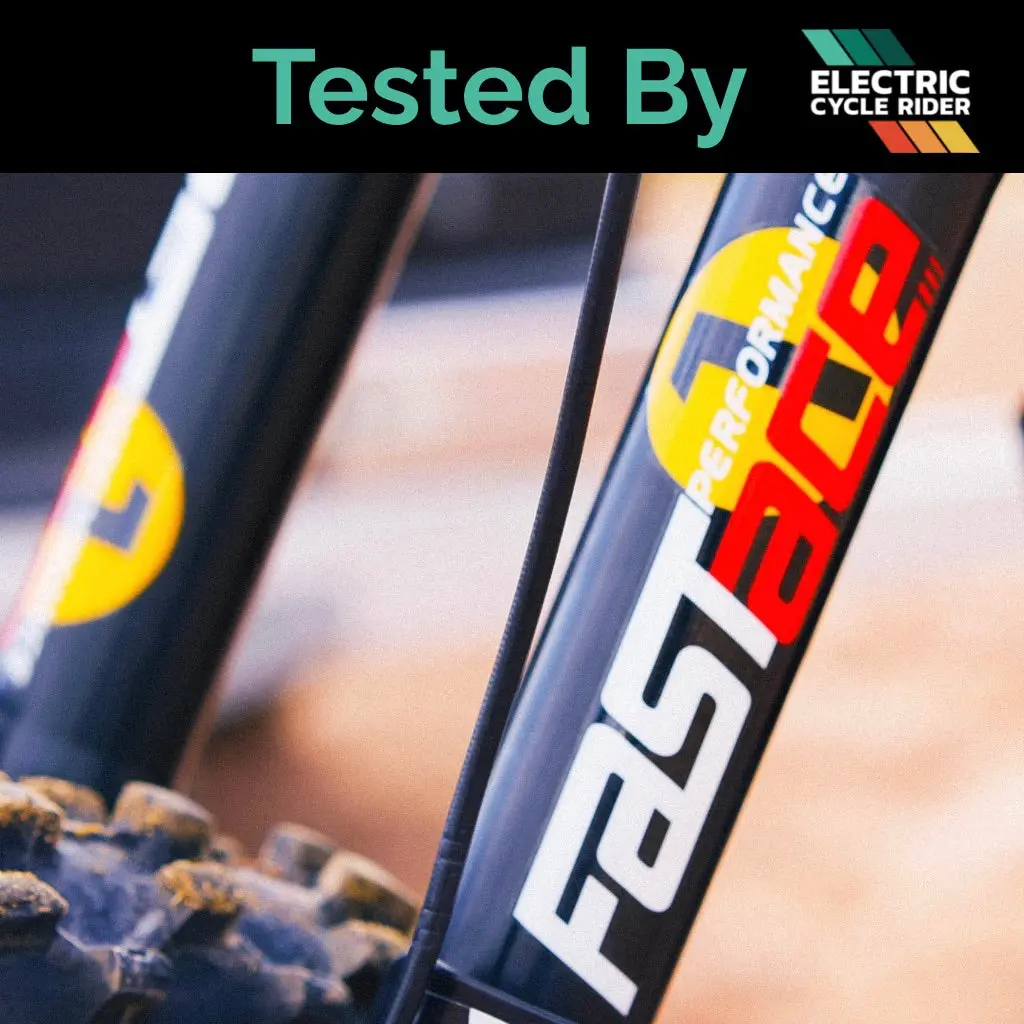 Fastace Custom Tuned Forks 1