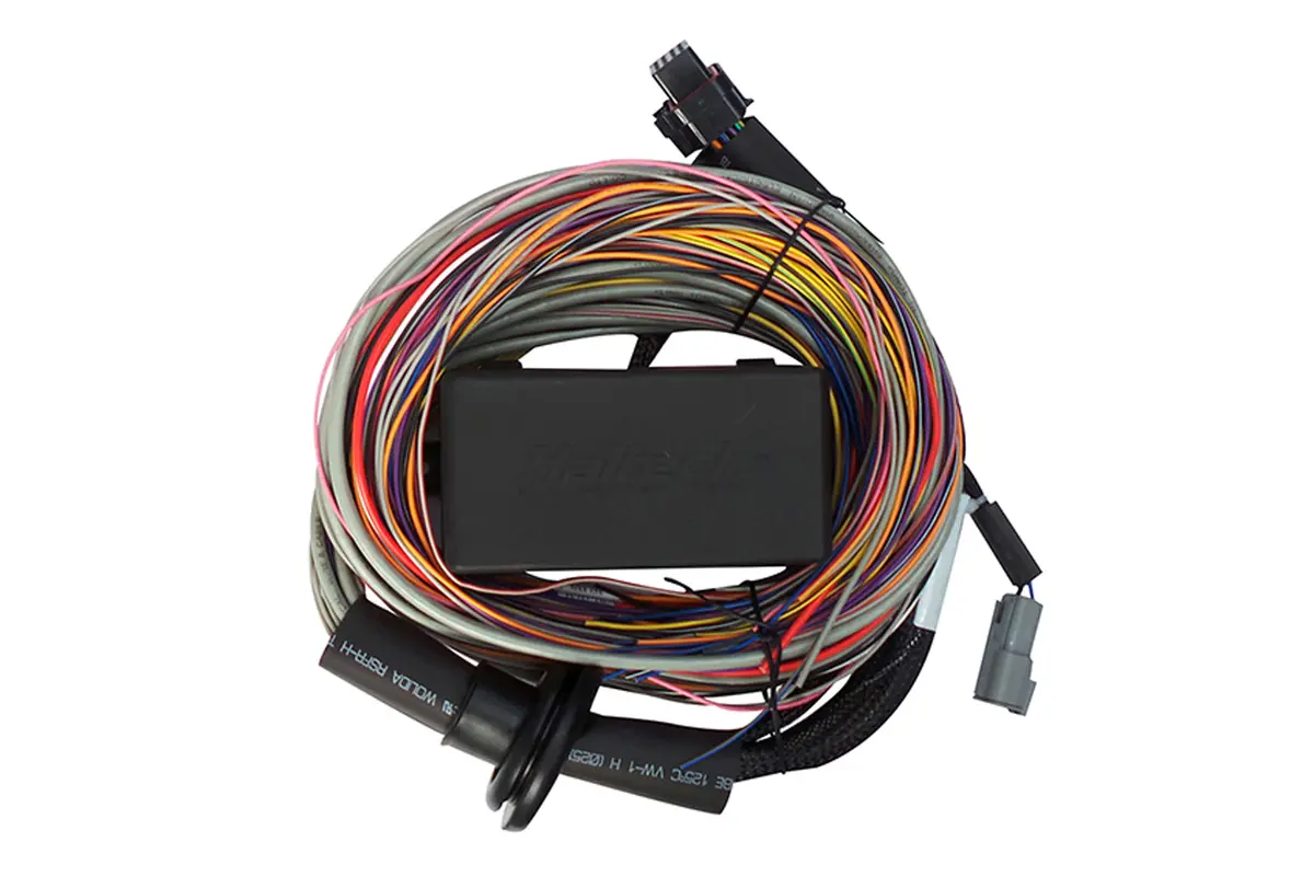 Haltech Elite 750 + Premium Universal Wire-In Harness Kit Length: 2.5M (8') Ht-150604 2