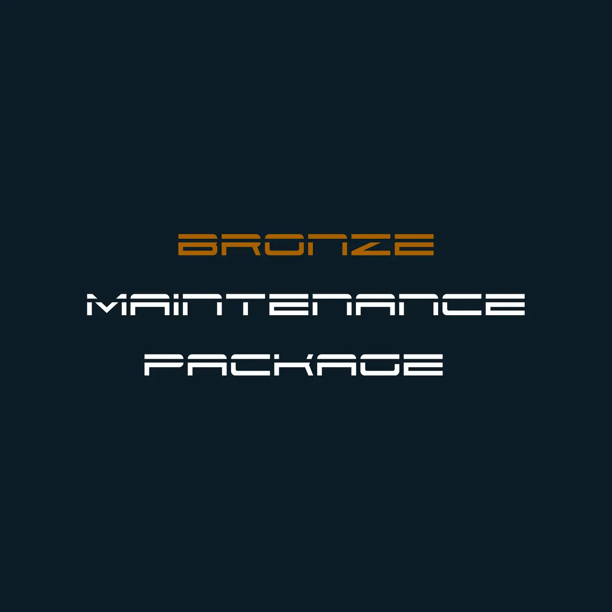Bronze Maintenance Package - £49 Per Year (12-Month Service) 1