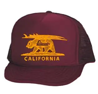 Poseidon Ca Surf Trip Bear Hat 1