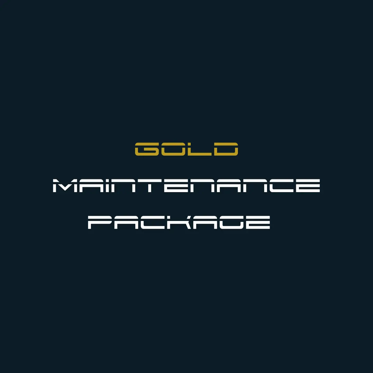 Gold Maintenance Package - £149 Per Year (12-Month Service) 1