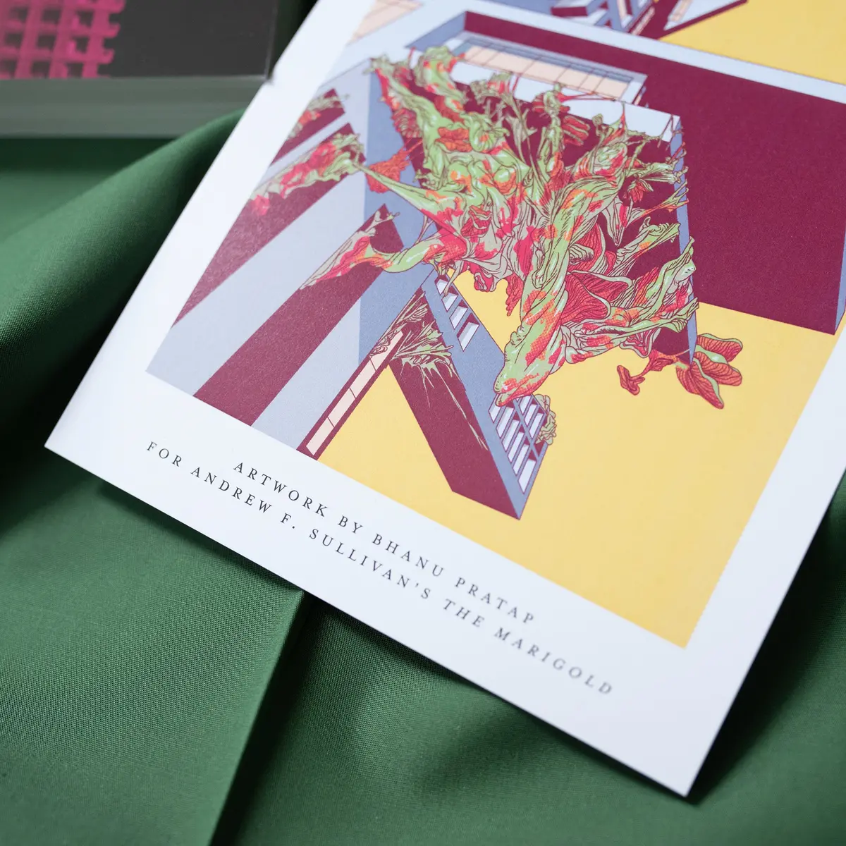 The Marigold (Special Signed Edition) 2