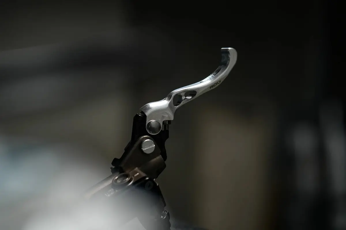 Prickly Moto Brake Lever 1