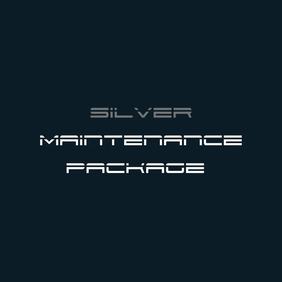 Silver Maintenance Package - £99 Per Year (12-Month Service) 1