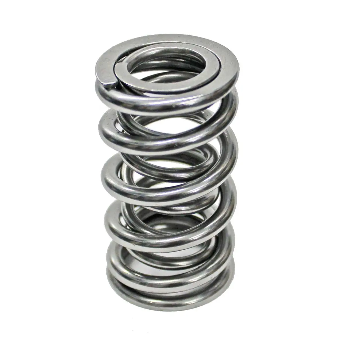 Comp Cams High-Performance Valve Springs – Dual-Rate Design, Part 26925-16 1