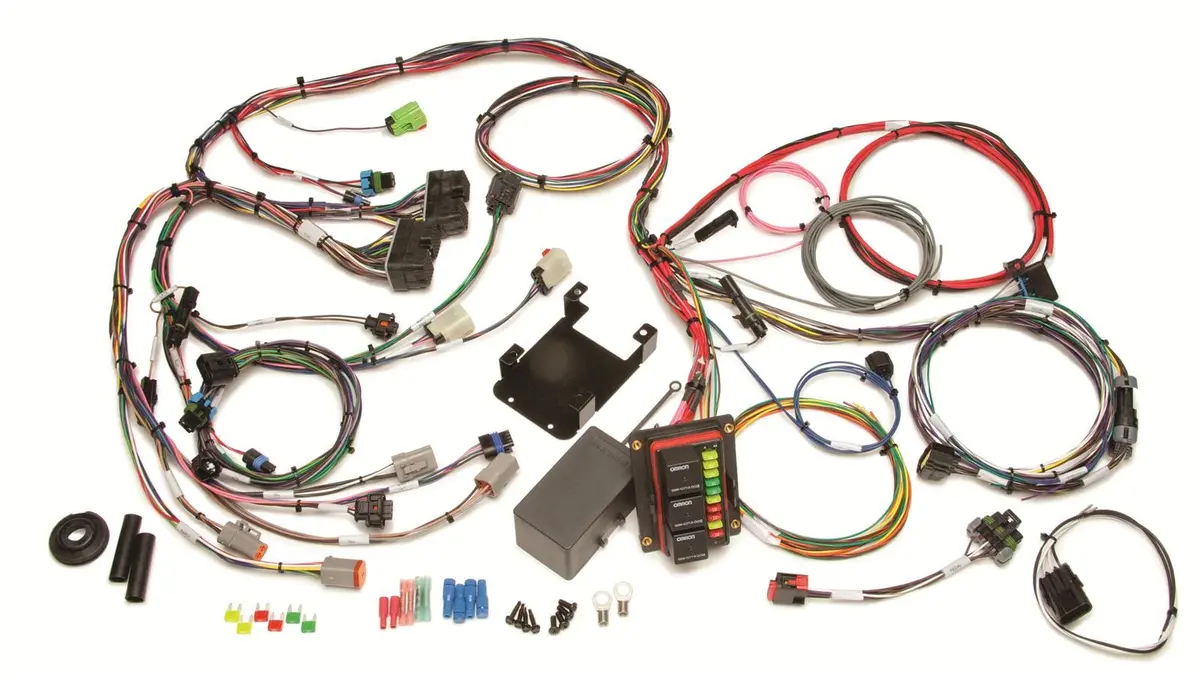 Painless Performance 60250 Efi Wiring Harness – Universal Fuel Injection Control Kit 1