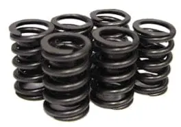 Ps202Rbd-12 Dual Valve Spring Set — 1.265" Od, 120 Lb/In At 1.625" 1